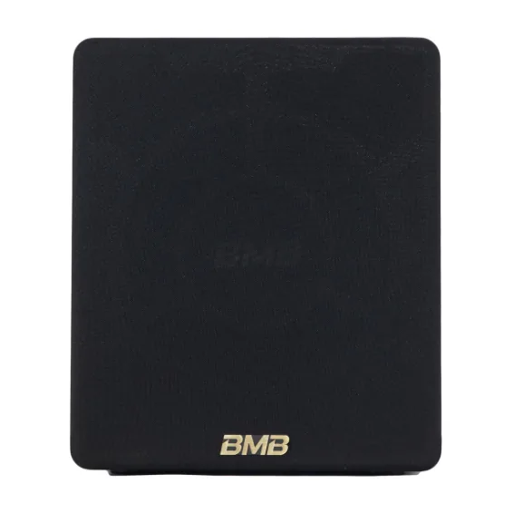 BMB CSW-110A 10" Active Subwoofer
